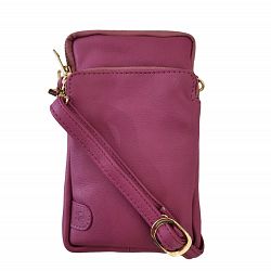 Fuchsia-1680355812.jpg